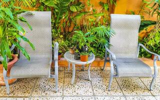 Royal silver chairs in tropical exotic garden in Mexico. photo