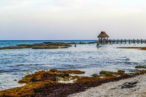 tropical caribe playa claro turquesa agua embarcadero playa xcalacoco México. foto