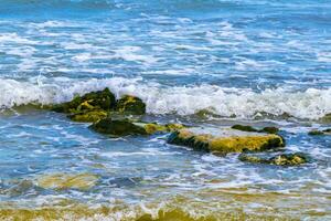 Stones rocks corals turquoise green blue water on beach Mexico. photo