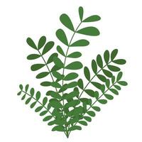 plano frondoso plantas ramos vector ilustración