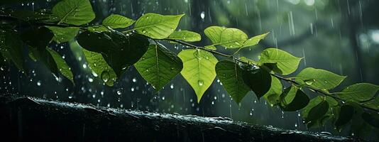 Epic Photography Shot of Rainy Season Background, Enjoying Nature Rainfall and Happy Life Concept. Generative Ai photo