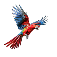 Macaw parrot isolated on transparent background, created with generative AI png