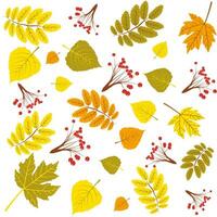 Autumn decorative rowanberry seamless pattern. Simple fall berries repeatable motif for fabric, wrapping paper, surface design projects. autumn maple and birch leaves vector