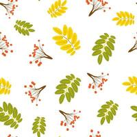 Autumn decorative rowanberry seamless pattern. Simple fall berries repeatable motif for fabric, wrapping paper, surface design projects. vector