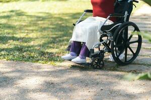 Nursing home. Young caregiver helping senior woman in wheelchair. photo