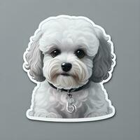 Bichon frise dog sticker vector art ai generate photo