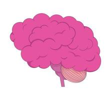 Human brain organ 2D linear cartoon object. Head internal organ structure isolated line vector element white background. Brainpower. Mind psychology and biology color flat spot illustration