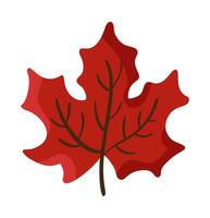 Red autumn maple leaf isolated on white background. Simple cartoon flat style vector. Hand drawn fall element for design greeting card. Thanksgiving Day vector