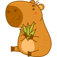 Cute funny capybara png