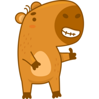 Cute  funny capybara png