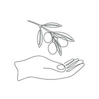 Olive branch in hand drawn in one continuous line. One line drawing, minimalism. Vector illustration.