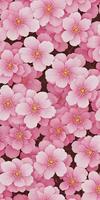 background pink flowers sakura tree graphics photo