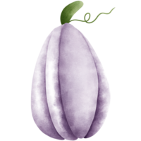 acquerello zucca illustrazione per autunno decorazioni.viola zucca illustrazione. png