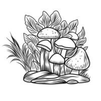 Mushrooms coloring page. Autumn composition linear illustration.Autumn coloring book for children vector