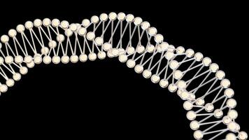 biologie moleculen structuur met alfa, 3d weergave. video