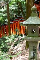 el santuario de el mil torii puertas fushimi inari santuario. eso es famoso para sus miles de bermellón torii puertas Japón foto