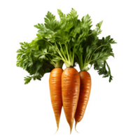 carrot vegetable isolated on transparent background ,carrot isolated cut out png ,generative ai