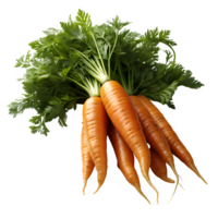 carrot vegetable isolated on transparent background ,carrot isolated cut out png ,generative ai