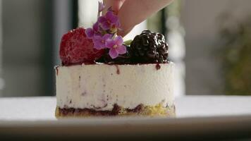 Final touches on ice cream cake with berries video