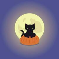 Vector illustration of a black cat on a pumpkin