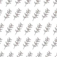 Seamless vector pattern of plants, flowers.