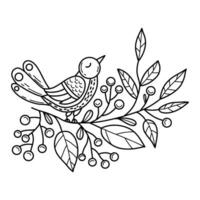 Bird with Christmas berries, holly. Vector illustration. outline hand drawing. Xmas design , holiday card, decor, coloring.