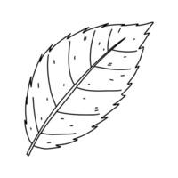 Autumn leaf. Hand drawn doodle style. Vector illustration isolated on white. Coloring page.