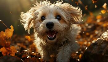linda terrier perrito jugando al aire libre, disfrutando otoño belleza generado por ai foto