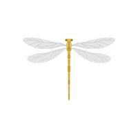 dragonfly flat design vector illustration