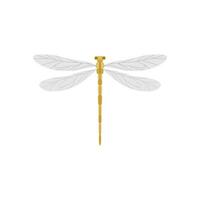 dragonfly flat design vector illustration