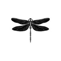 Silhouette of a dragonfly. Glyph icon of insect, simple shape of damselfly. Black vector illustration on white. Perfect for decoration, carving, design.