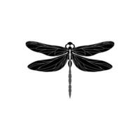 Silhouette of a dragonfly. Glyph icon of insect, simple shape of damselfly. Black vector illustration on white. Perfect for decoration, carving, design.