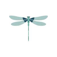 dragonfly flat design vector illustration