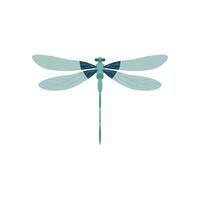 dragonfly flat design vector illustration