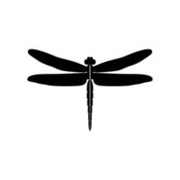 Silhouette of a dragonfly. Glyph icon of insect, simple shape of damselfly. Black vector illustration on white. Perfect for decoration, carving, design.