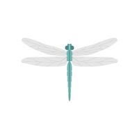 dragonfly flat design vector illustration