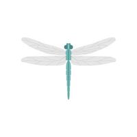 dragonfly flat design vector illustration