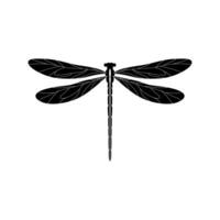 Silhouette of a dragonfly. Glyph icon of insect, simple shape of damselfly. Black vector illustration on white. Perfect for decoration, carving, design.