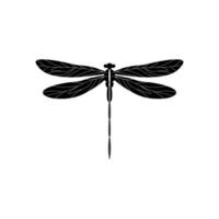 Silhouette of a dragonfly. Glyph icon of insect, simple shape of damselfly. Black vector illustration on white. Perfect for decoration, carving, design.