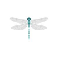 dragonfly flat design vector illustration