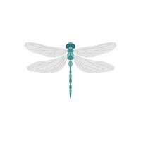 dragonfly flat design vector illustration