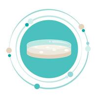 Petri dish vector illustration graphic icon symbol