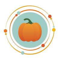 Pumpkin vector illustration graphic icon symbol