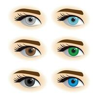 Multi-colored eyes with different pupils vector