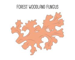 Forest Woodland Fungus Vector Design Illustration