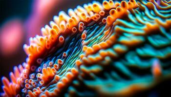 Underwater macro reveals multi colored sea life patterns photo