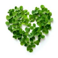 Moringa leaves in the shape of a heart on a white background, isolated photo