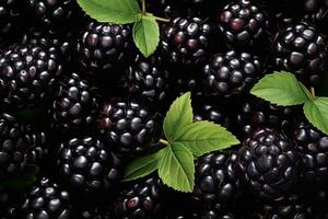 Bunch of a fresh tasty ripe blackberries and leaves. Fruit textured background photo