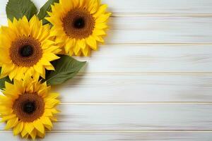 three sunflowers with leaves on a white wooden table top view, floral rustic background flat lay with copy space photo