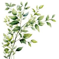 verde acuarela botánico hojas y ramas marco foto